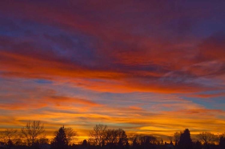 Picture of CANADA, MANITOBA, WINNIPEG SKY AT SUNSET