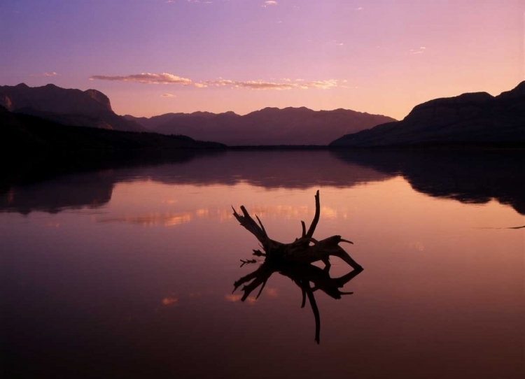 Picture of CANADA, ALBERTA, JASPER LAKE IN JASPER NP