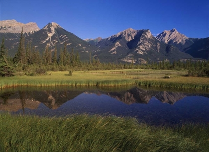 Picture of CANADA, ALBERTA, JASPER LAKE IN JASPER NP