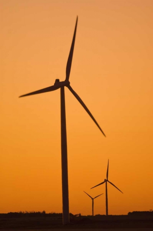 Picture of CANADA, SOMERSET WIND TURBINES AT SUNSET