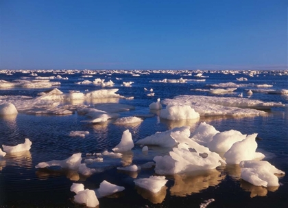 Picture of CANADA, CHURCHILL, ICE FLOE IN HUDSON BAY
