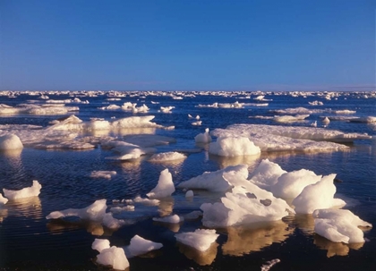 Picture of CANADA, CHURCHILL, ICE FLOE IN HUDSON BAY