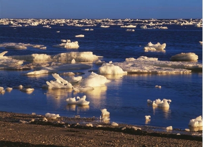 Picture of CANADA, CHURCHILL, ICE FLOE IN HUDSON BAY
