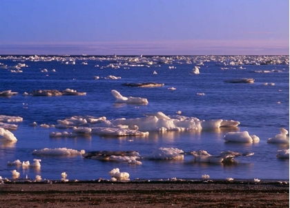 Picture of CANADA, CHURCHILL, ICE FLOE IN HUDSON BAY