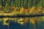 Picture of CANADA, BANFF NP VERMILLION LAKE IN FALL