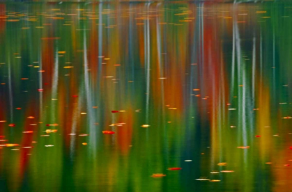 Picture of CANADA, ONTARIO AUTUMN AT HORSESHOE LAKE