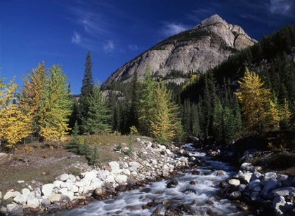 Picture of CANADA, ALBERTA, RAMPART CREEK AT BANFF NP
