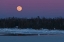 Picture of CANADA, ONTARIO FULL MOON OVER LAKE HURON