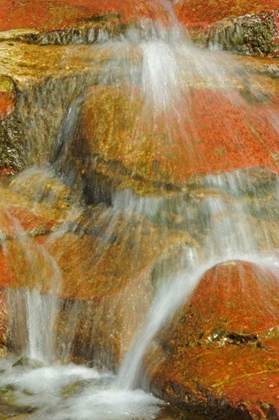 Picture of CANADA, ALBERTA, STREAM IN RED ROCK CANYON