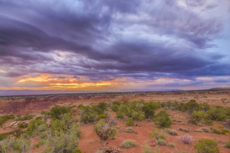 Picture of COLORADO, FRUITA SUNRISE OVER COLORADO NM