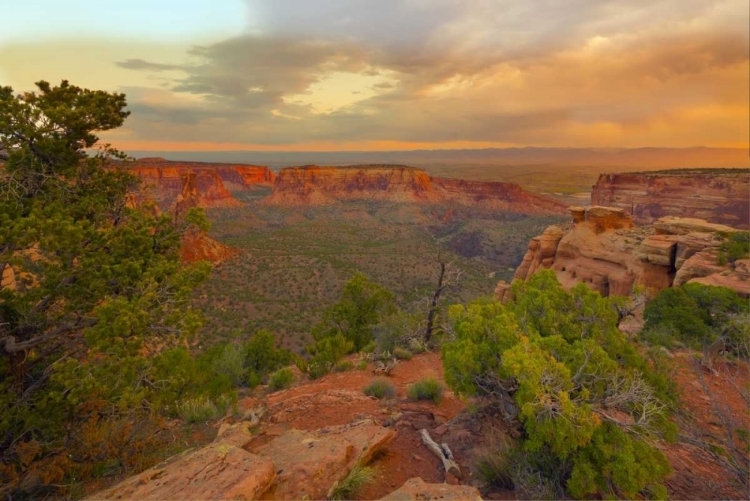 Picture of COLORADO, FRUITA SUNRISE OVER COLORADO NM