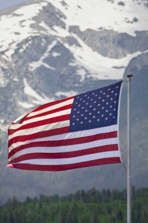 Picture of CO, SILVERTHORNE AMERICAN FLAG AND MOUNTAIN