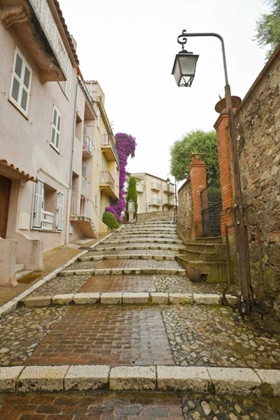 Picture of FRANCE, PROVENCE, CANNES RAIN-COVERED STEPS