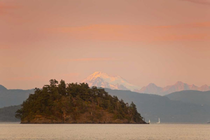 Picture of WA, SAN JUANS, CYPRESS ISLAND TWO SAILBOATS