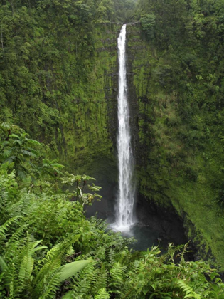 Picture of USA, HAWAII, HILO VIEW IF AKAKA FALLS