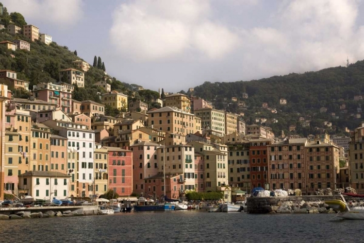 Picture of ITALY, CAMOGLI BOATS MOORED IN HARBOR