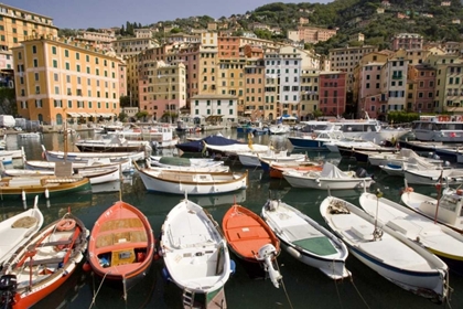 Picture of ITALY, CAMOGLI BOATS MOORED IN HARBOR