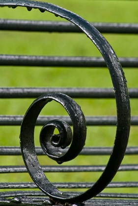 Picture of LOUISIANA, VACHERIE IRON BENCH SPIRAL