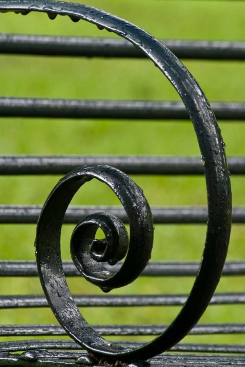 Picture of LOUISIANA, VACHERIE IRON BENCH SPIRAL