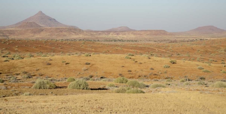 Picture of NAMIBIA, NAMIB DESERT, DESERT LANDSCAPE