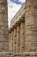 Picture of ITALY, CAMPANIA, PAESTUM TEMPLE OF HERA