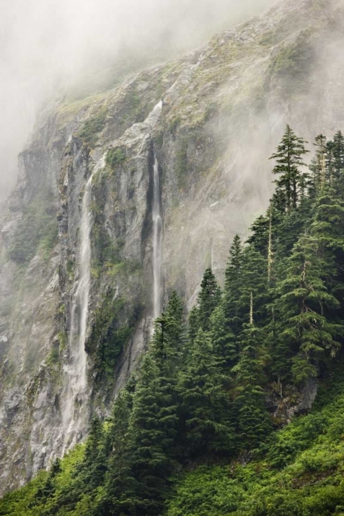 Picture of WA, NORTH CASCADES NP, WATERFALL AND FOG
