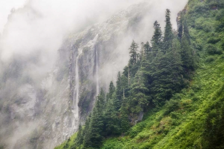 Picture of WA, NORTH CASCADES NP, WATERFALL AND FOG