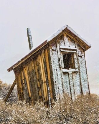 Picture of USA, CALIFORNIA, BODIE SOLITARY OUTHOUSE