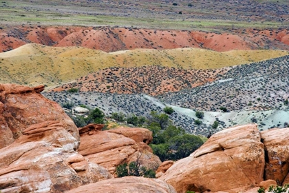 Picture of USA, UTAH, ARCHES NP VIEW OF SALT VALLEY