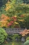 Picture of OREGON, PORTLAND WOODEN BRIDGE OVER POND