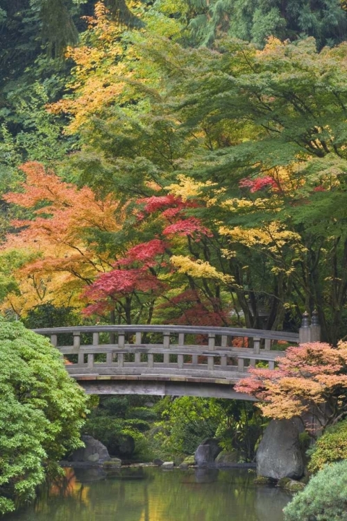 Picture of OREGON, PORTLAND WOODEN BRIDGE OVER POND