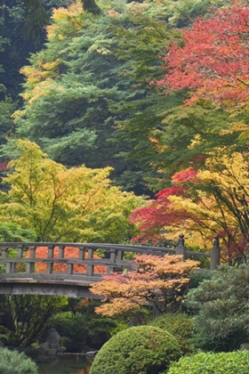 Picture of OREGON, PORTLAND WOODEN BRIDGE OVER POND