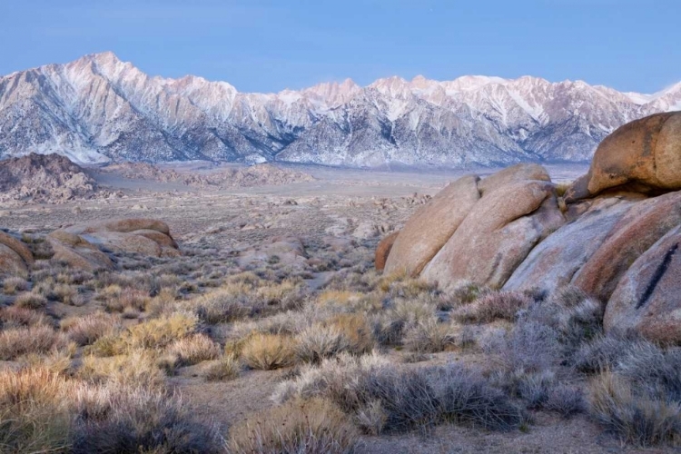 Picture of CALIFORNIA LONE PINE PEAK AND MT WHITNEY