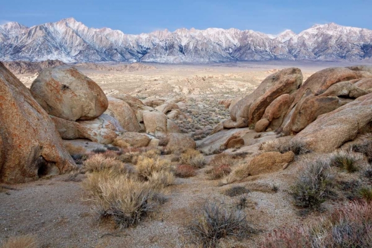 Picture of CALIFORNIA LONE PINE PEAK AND MT WHITNEY