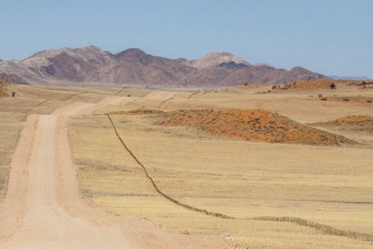 Picture of NAMIBIA, NAMIB DESERT ROAD AND FENCE IN DESERT