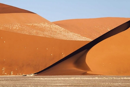 Picture of NAMIBIA, NAMIB-NAUKLUFT PARK, ABSTRACT OF DUNES