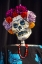 Picture of AZ, PHOENIX SKELETON WITH HAIR MADE OF FLOWERS