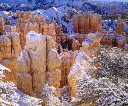 Picture of UTAH, BRYCE CANYON NP IN WINTER