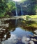 Picture of USA, HAWAII, KAUAI WAILUA FALLS