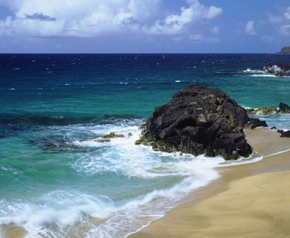 Picture of HAWAII, A WAVE BREAKS ON A BEACH