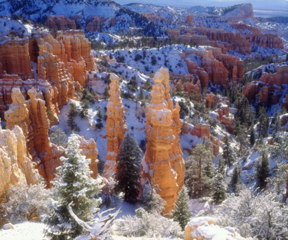Picture of USA, UTAH, BRYCE CANYON NP WINTER