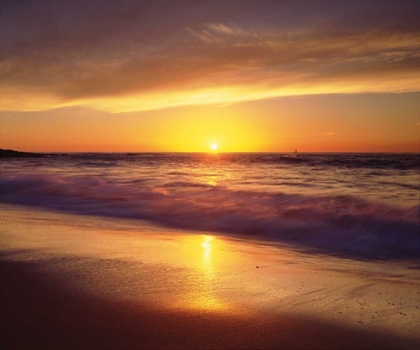 Picture of CA, LA JOLLA SHORES BEACH AT SUNSET