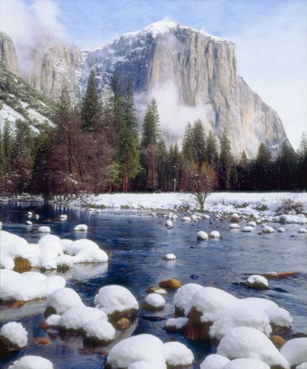 Picture of USA, CALIFORNIA, YOSEMITE NP WINTER