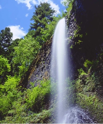 Picture of OREGON, A WATERFALL IN THE MOUNTAINS