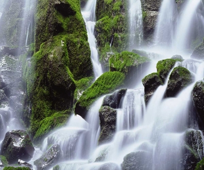 Picture of USA, OREGON, MOUNT HOOD, RAMONA FALLS