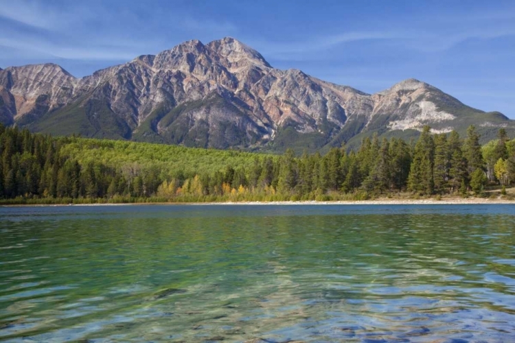 Picture of CANADA, JASPER NP PATRICIA LAKE AND PYRAMID MT