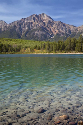 Picture of CANADA, JASPER NP PATRICIA LAKE AND PYRAMID MT