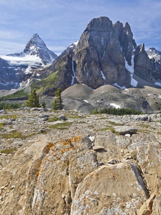 Picture of CANADA, BC, MT ASSINIBOINE AND WEDGWOOD PEAK