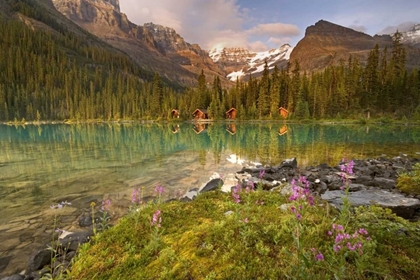 Picture of CANADA, YOHO NP LODGE AND FOREST BY LAKE OHARA