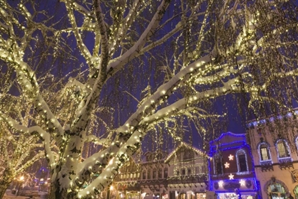 Picture of WA, LEAVENWORTH CHRISTMAS LIGHTS LINE THE TOWN